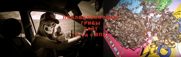 гашишное масло Козловка