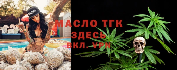 дмт Каменка