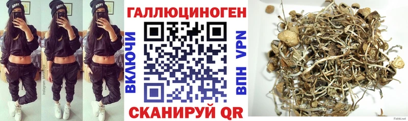 Псилоцибиновые грибы ЛСД  где найти   Сусуман 
